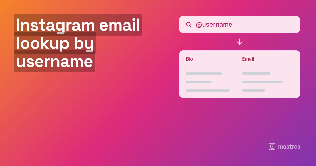 A username typed into a search field resolving to a bio and an email column, for instagram email lookup