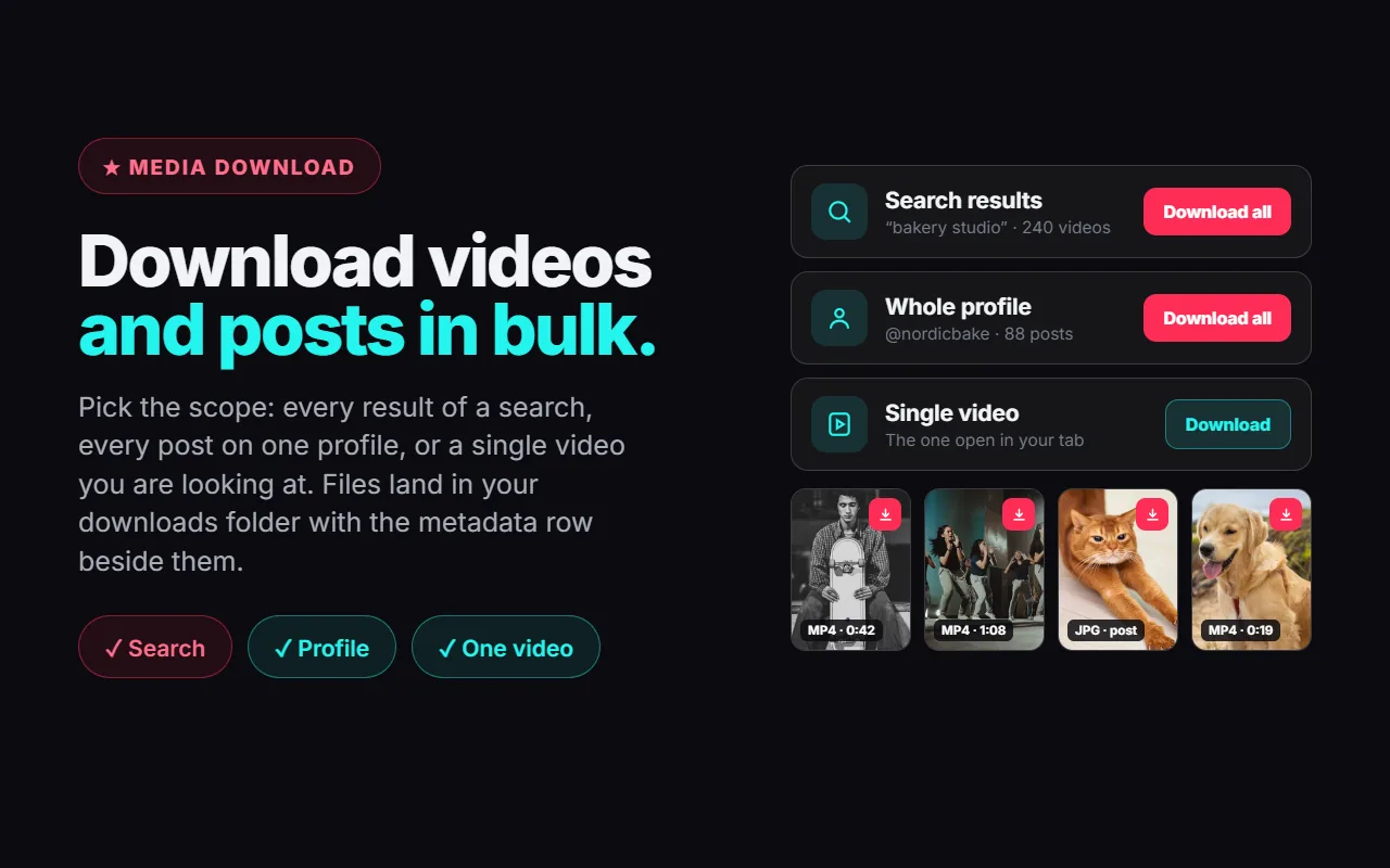 Three download scopes in the Mastros panel — every result of a search, a whole profile, or the single video open in the tab — above a row of downloaded video and image thumbnails.